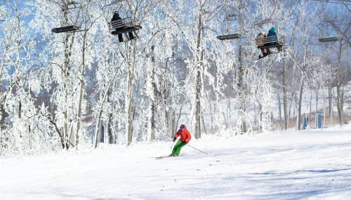 NEW " Fall Season " cozy 2 bed flat with open concept - Foto 3