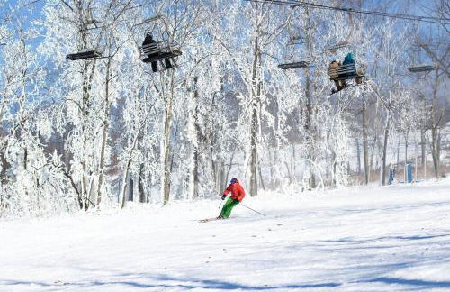 NEW " Fall Season " cozy 2 bed flat with open concept - Foto 3