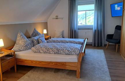 Ferienwohnungen Sachsenblick - Foto 43