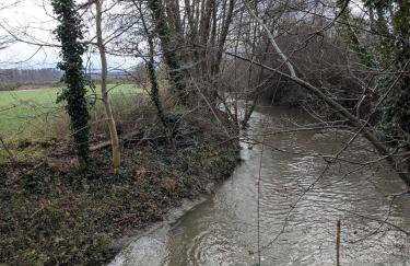 Badischer Neubau-Ruhe-Kunst-Natur - Foto 30