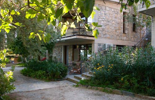 Studios Kyparissi & Spa - Photo 8