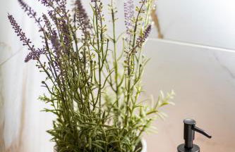 Maria Veiga Guest House - Foto 30