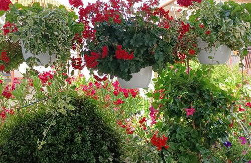 Andela Apartment - Foto 8