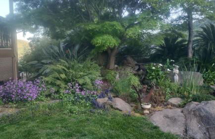 Rustic Rooms Barn Loft (Upstairs Studio Apartment) Near Kings Canyon & Sequoia National Parks - Foto 47