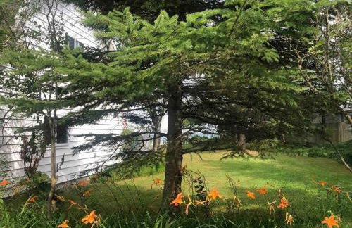 The Huron Hutch - Foto 9