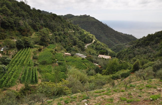 Agriturismo Costa di Campo - Foto 39