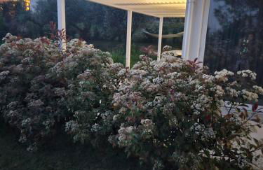 White House - Foto 32