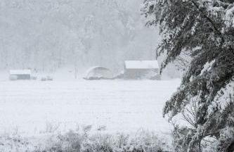 Modern Tiny House with hot tub & river near Stowe - Foto 42