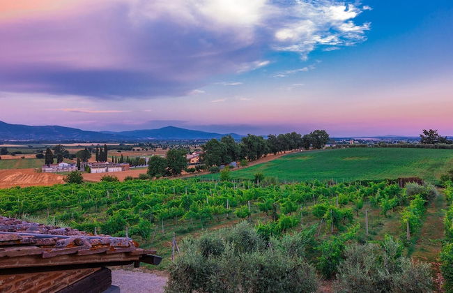 Ar-f628-mssa0at - Villa Pucci 12 - Foto 8