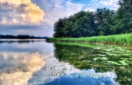 Zakątek na Mazurach I Kalinowo, Romoty - Foto 40