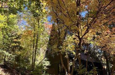 Lovely Secluded A-frame with Hot-tub in Sundance, Utah - Foto 10