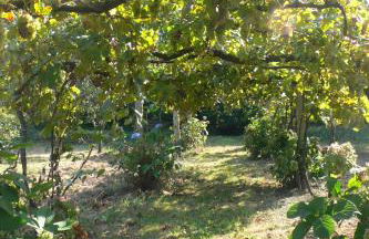 Casa do Tamanqueiro - Foto 8