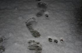 Hausboot Elandi - Foto 19