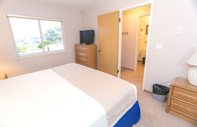 The Grey Gull - Foto 57