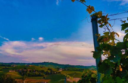 Agriturismo "Le Giustizie" - Foto 57