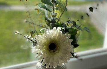 Ferienwohnungen Schiffmann - Foto 15