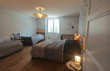 chez Émile côté face maison entière, 3 chambres, 2 salles de bains,jardin et terrasse - Foto 32