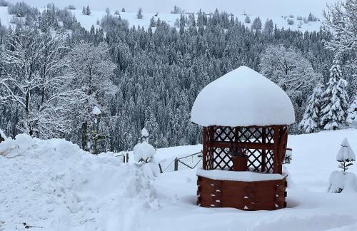 Rancho Zalinski - Foto 67