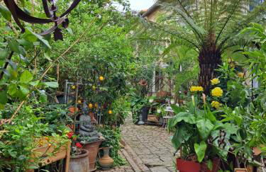 Terra-Crystal - Foto 71