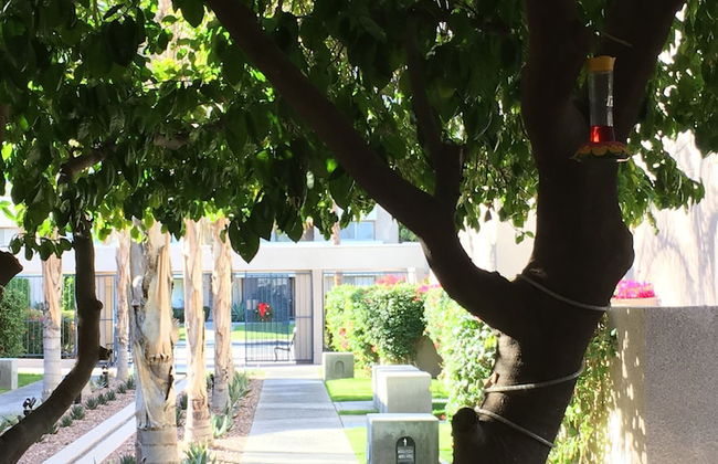 GetAways at Vista Mirage - Foto 18