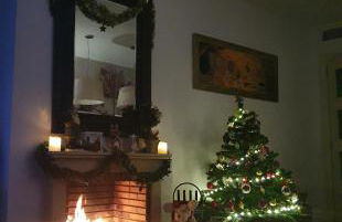 Sara green house - Foto 18