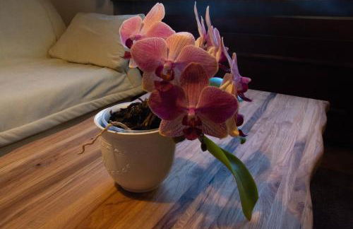 Apartments Ciasa Colz - Foto 16