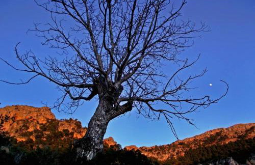 Casas Rurales Mirador del Mundo - Foto 68