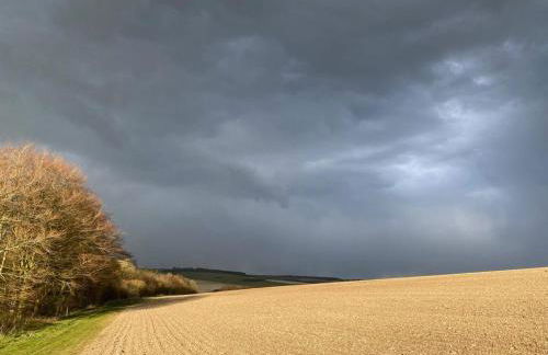 Kings Cottage - Heart of the Deverills - EV Point - Foto 7