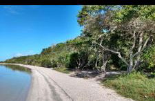 Casa oliveira - Photo 20