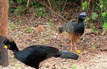 Casa Mataguari - Foto 6