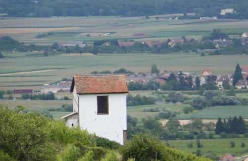 Le Bacchus - Photo 16