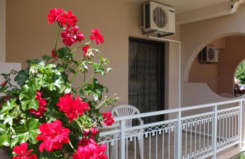 Toula's Apartments - Foto 13