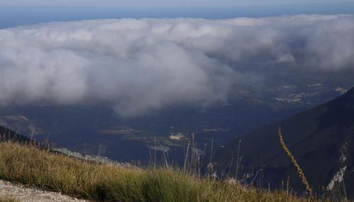 Lupus Domum - Foto 5