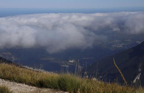 Lupus Domum - Foto 5