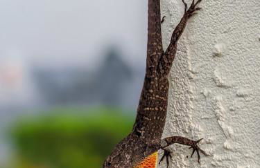 Stylish Villa Retreat with Pool - Photo 36