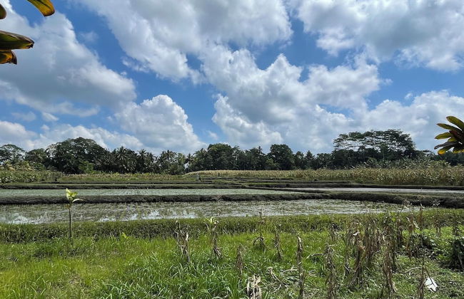 Sirya Farm House - Foto 25