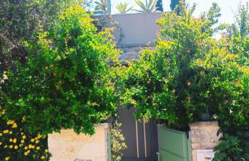 Olive Lemon Biophilic House & Lush Forest Garden - Foto 22