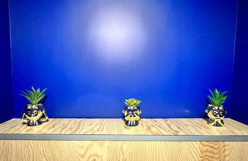 Le studio secret - Foto 15