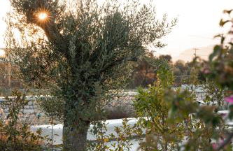 Trinity Design Suites - Foto 54