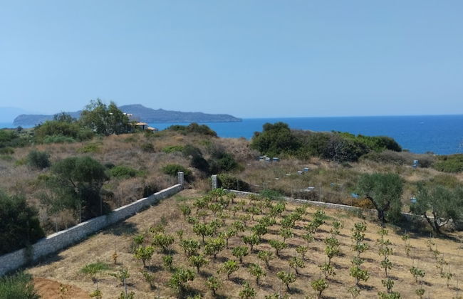 Oinolithos Luxury Villas - Foto 62