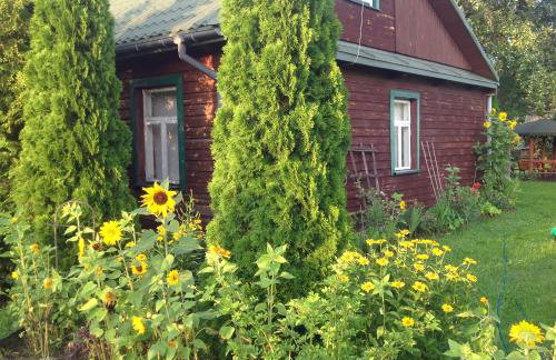 Dom na skraju Puszczy Białowieskiej - Foto 13