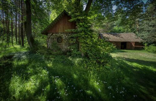 Dom na Podlasiu - Foto 13