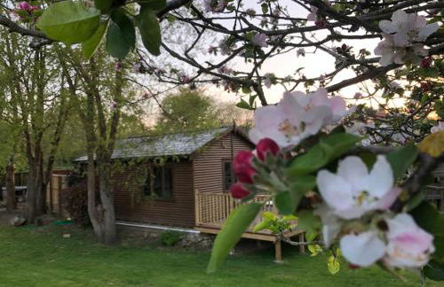 Cosy dog friendly lodge with an outdoor bath on the Isle of Wight - Foto 13