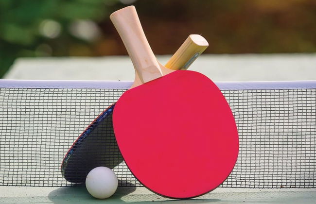 Villa Sabina - Breg Ivanovci - Foto 33