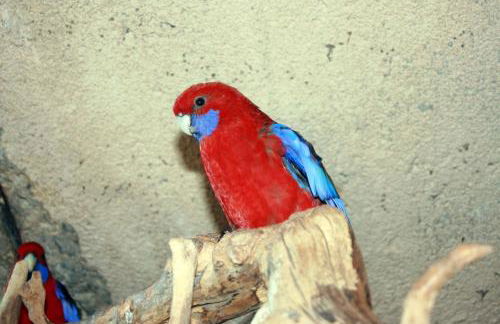 Gites le Pimayon - Foto 75