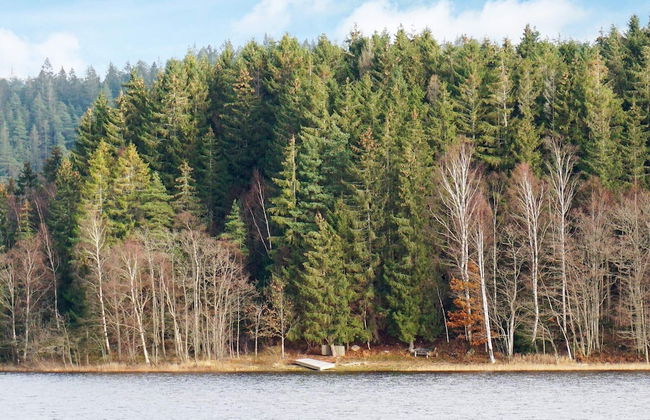 4 Person Holiday Home in Hallevadsholm-by Traum - Foto 17