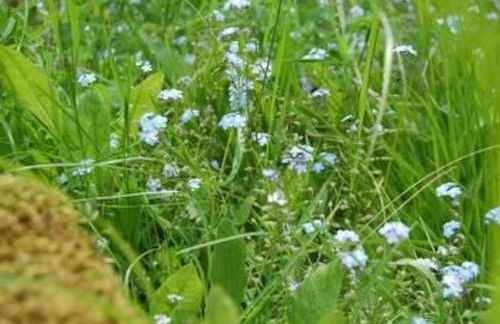 Holiday Home Landleben by Interhome - Foto 15