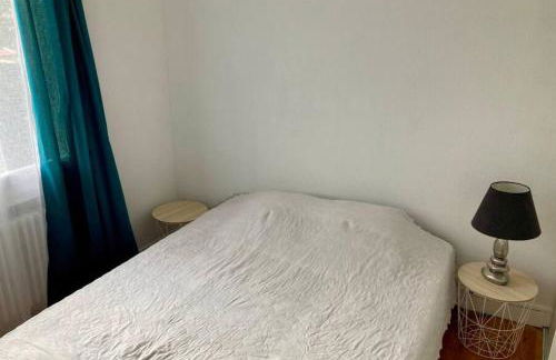 Grand appartement proche Cité de l'Espace - Photo 9