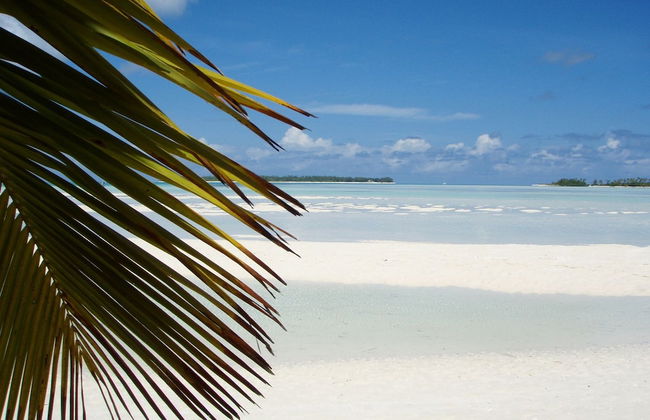 Castaway Lodge - Photo 29