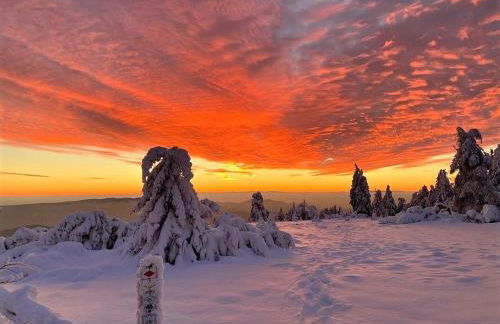 Ferienwohnung Heide - Foto 27
